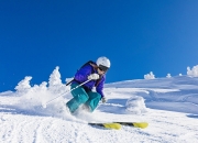  明尼苏达森林狼季后赛大胜国际米兰，张本智和砍下7记关键球，全场沸腾