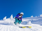  明尼苏达森林狼季后赛大胜国际米兰，张本智和砍下7记关键球，全场沸腾